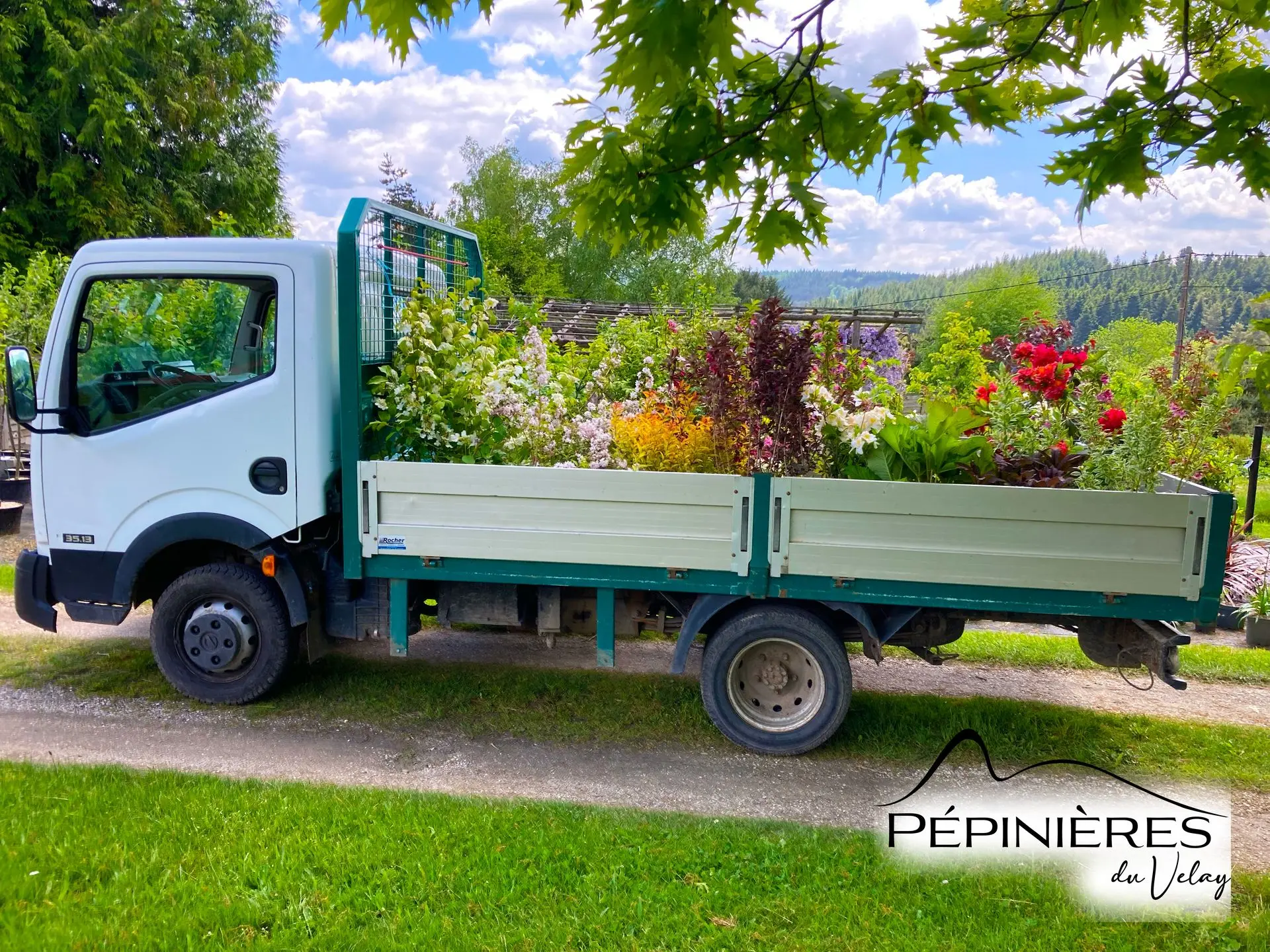 Camion de livraison de plantes