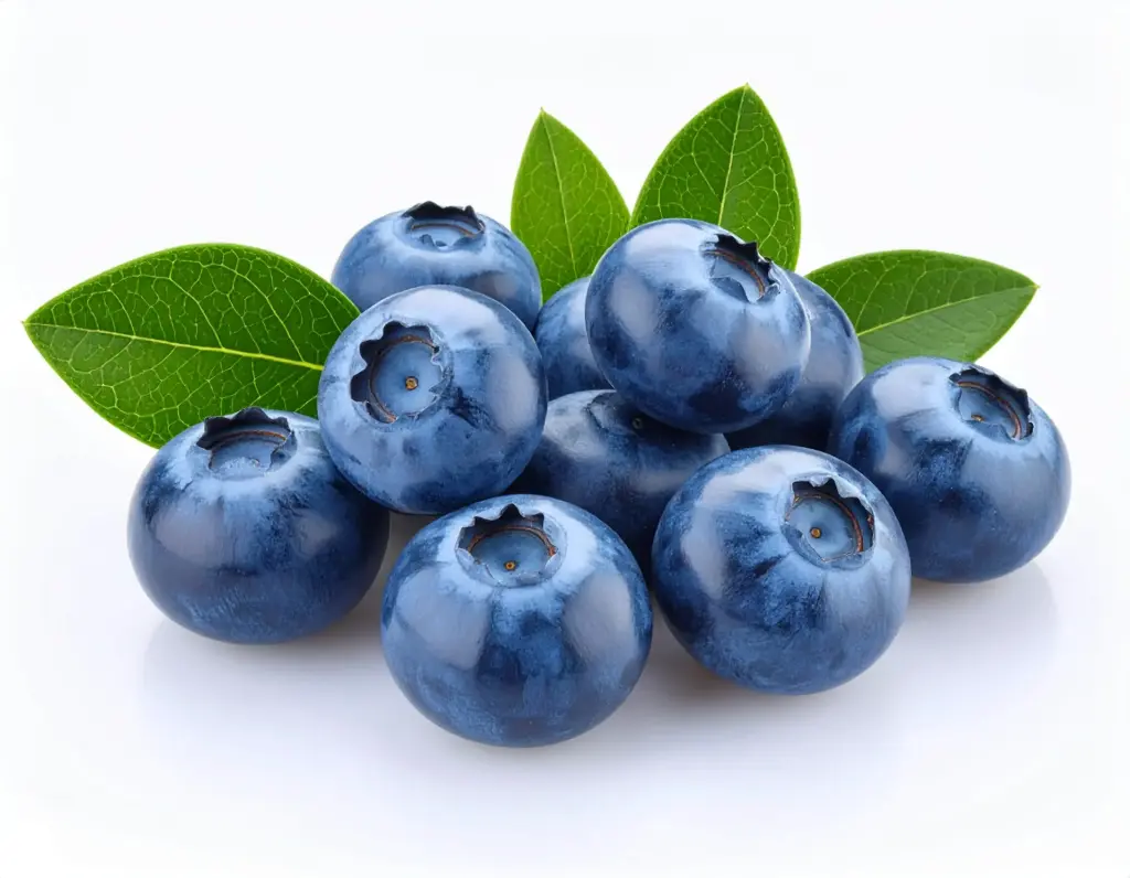 VACCINUM corymbosum Blue Crop (Myrtillier) :C5