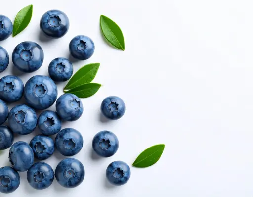 [P3D15] VACCINUM Corymbosum Blue pearl (Myrtille) :C5